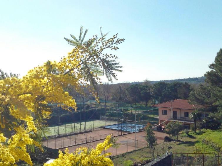 Villa Mimosa Zafferana Etnea Buitenkant foto